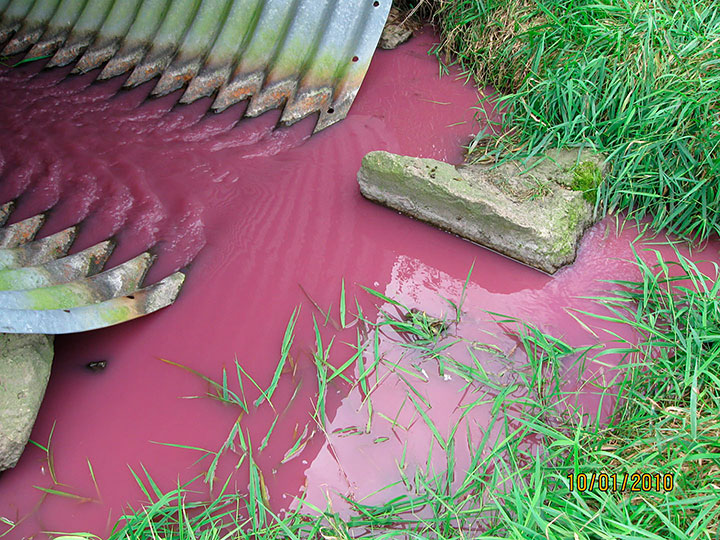 Massive discharge of purple contaminants from mega dairy.